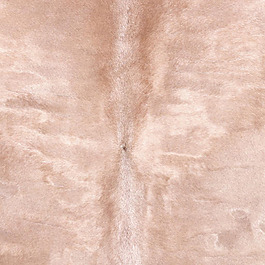 实物面料 动物皮纹 免费素材