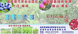 国家农业示范园 蓝莓生态园图片