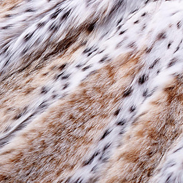 实物面料 动物皮纹 免费素材