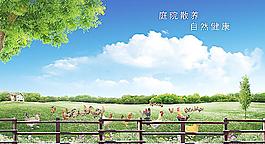 养鸡场图片