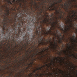 实物面料 动物皮纹 免费素材