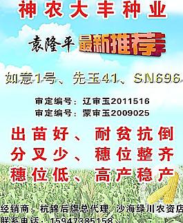 神农大丰种业图片