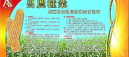昌农种业图片