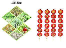 成果展示图片