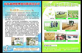 德隆种业图片