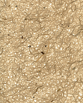 位图 纤维 色彩 免费素材