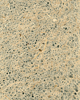 位图 纤维 色彩 免费素材