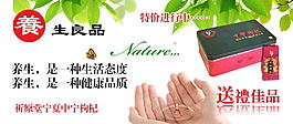 网页促销广告