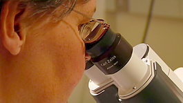科学家利用股票视频显微镜 视频免费下载