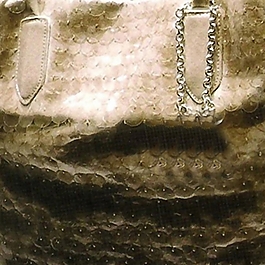 实物面料 皮革 蛇纹 免费素材