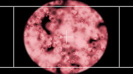 病毒视频运动背景 视频免费下载