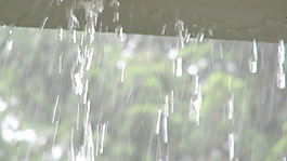 从排水沟股票视频滴俄勒冈夏天的雨 视频免费下载