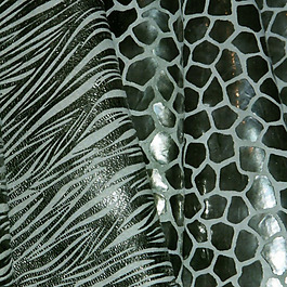 实物面料 皮革 印花 免费素材