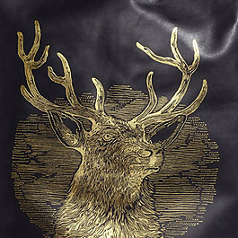 实物面料 皮革 印花 免费素材