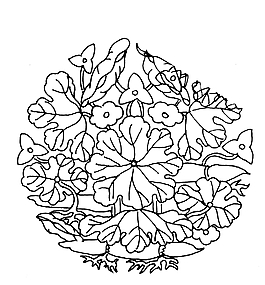 花叶图腾