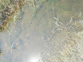 water_background