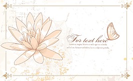 画花卉背景矢量插画