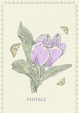 画花卉背景矢量插画