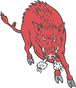 野猪野猪跳