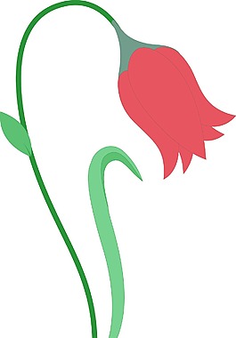 红葡萄酒的花