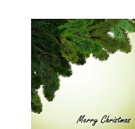 圣诞松枝