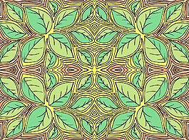 素描的叶子