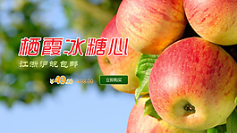 苹果 冰糖心 banner