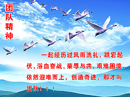 团队精神