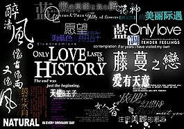 藤蔓之恋婚纱模板字体