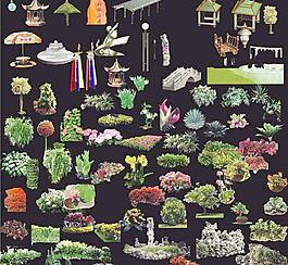 一些树木PS素材