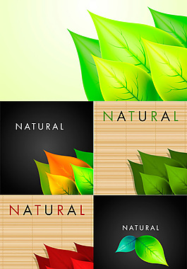 精美树叶广告背景矢量素材