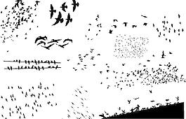 迁徙的鸟类剪影矢量素材