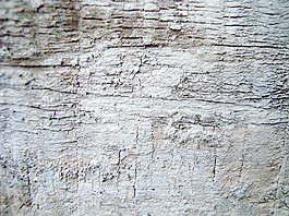 wood_board_texture