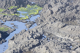 海岸地区