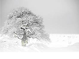 下雪了