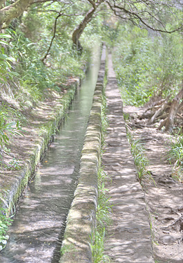 马德拉群岛