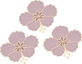牡丹花