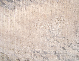 wood_surface
