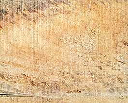 wood_texture_surface
