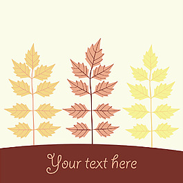 秋天的落叶背景