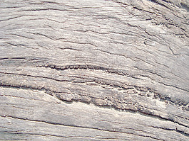 weathered_wooden