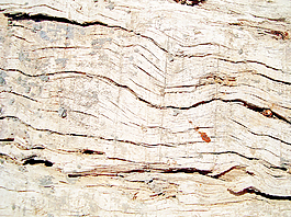 wood_barn_background