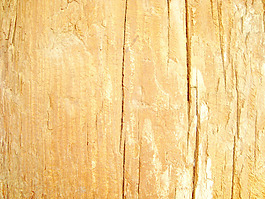 wooden_board