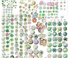 彩色平面图植物素材PSD