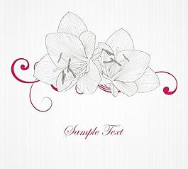 莉莉线条矢量素材