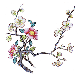 中国风 梅花