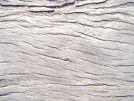 wood_background