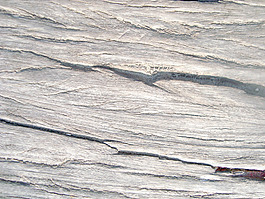 wood_texture_design