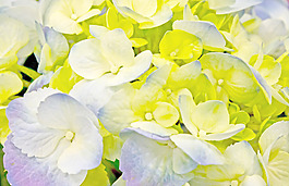 摘要背景纹理42