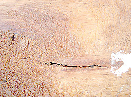 wooden_board